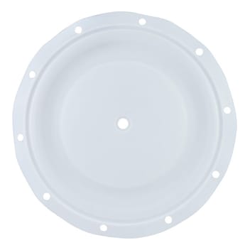 Ptfe Diaphragm 1/2" BSK