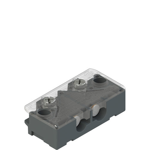 DS AA1VA Safety Interlock Switch