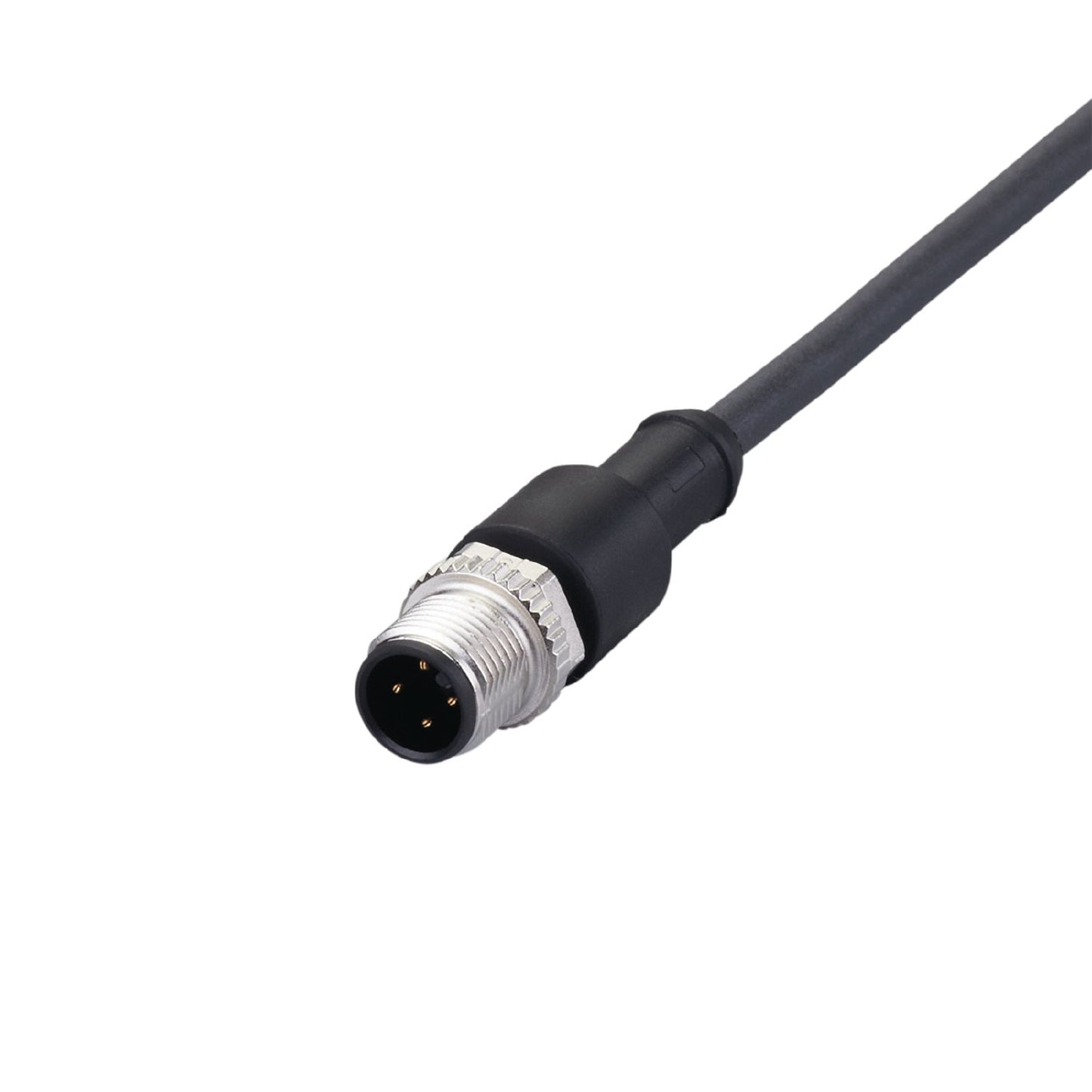 EVCB36 ifm Sensor & Actuator Cable