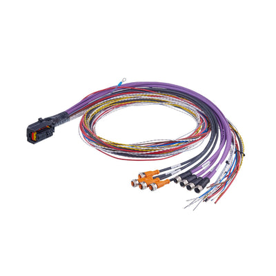 E3M178 - ifm Sensor & Actuator Cable, 2.5 m