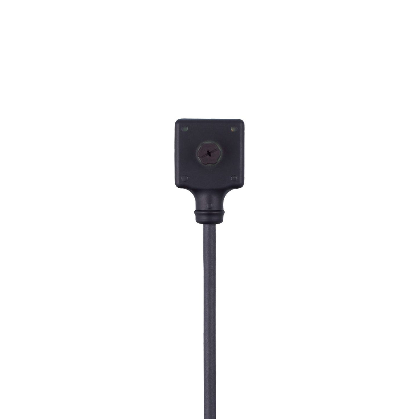 EVCB24 ifm Sensor & Actuator Cable