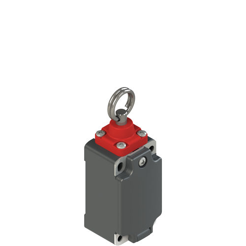 Pizzato FP 874-M2 Limit Switch