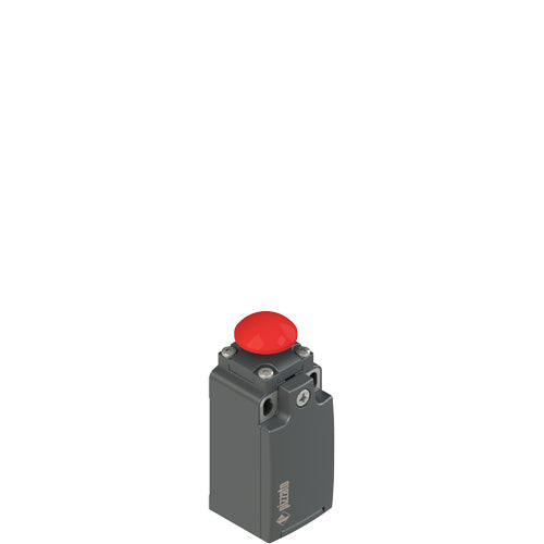 Pizzato FR 1514-M2 Limit Switch