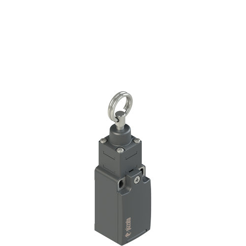 Pizzato FR 1273-M2 Limit Switch