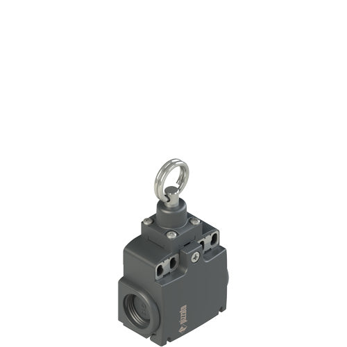 Pizzato FX 1876-M2 Limit Switch