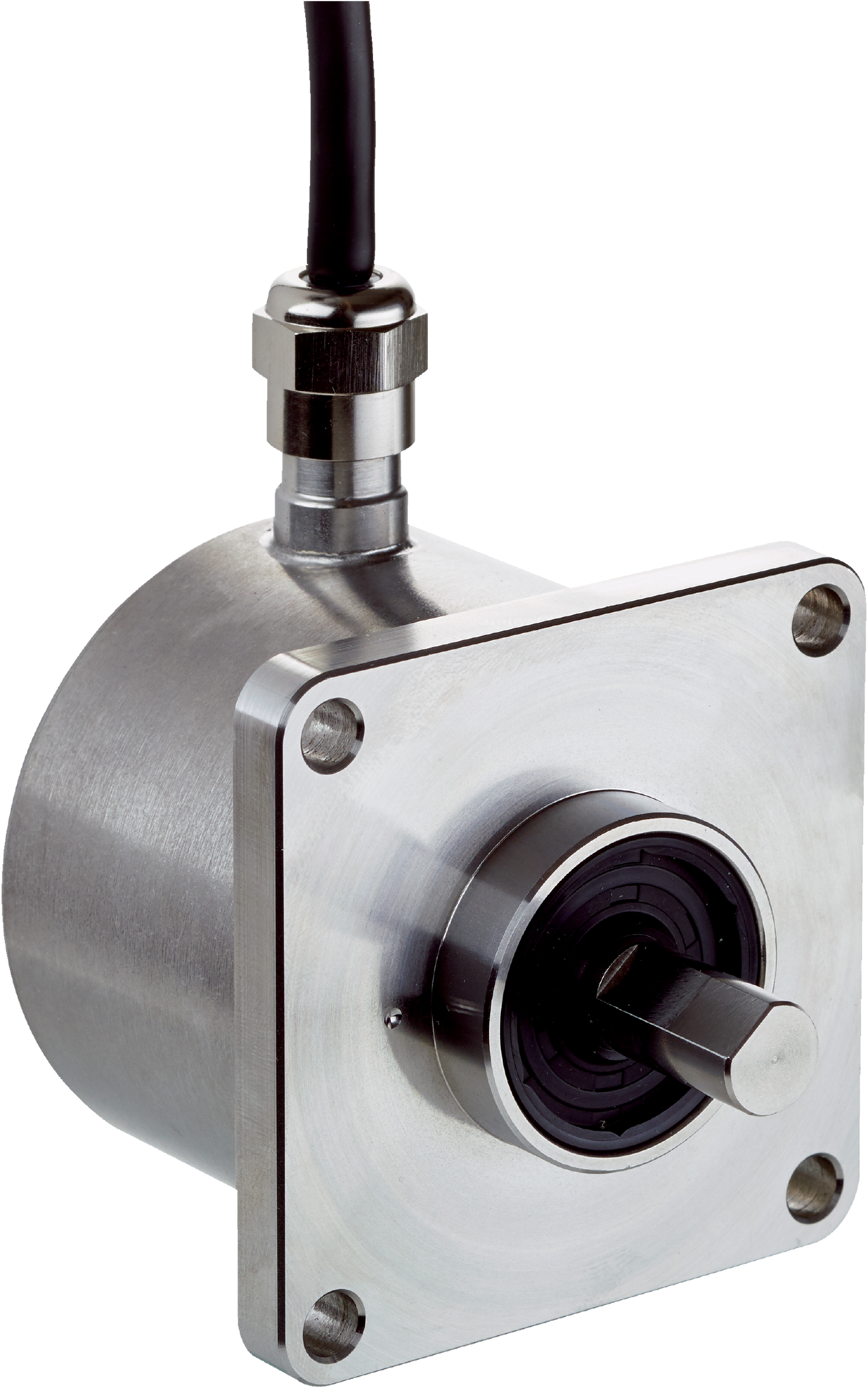 1112249 DBS60 Motion Sensor