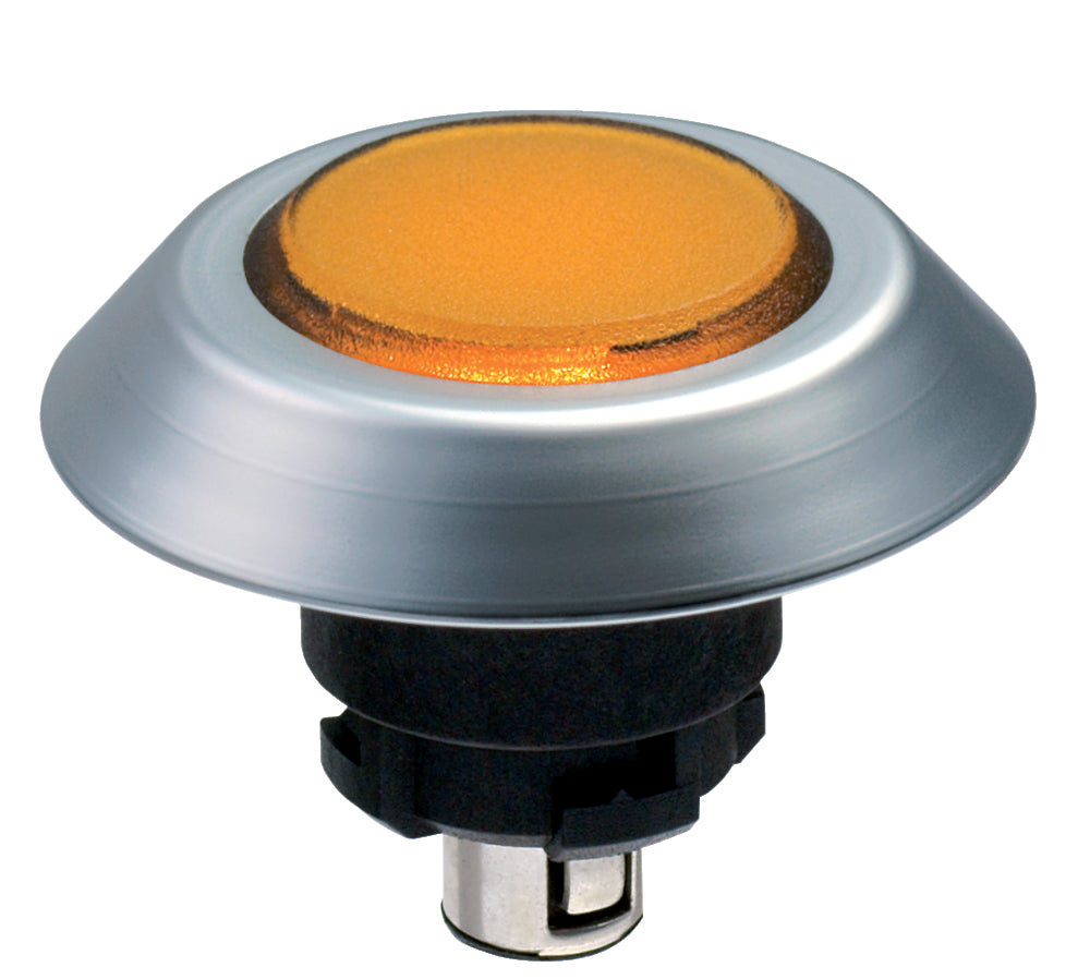 Schmersal NMEFGB Push Button Head