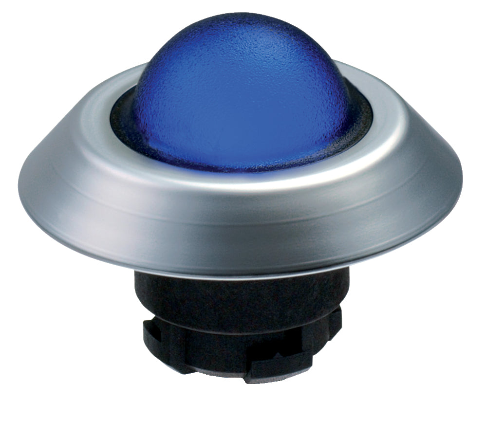 Schmersal NMLHBL Push Button Head