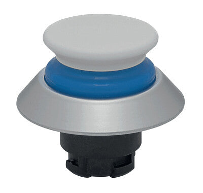 Schmersal NDTP30BL-WS Push Button Head
