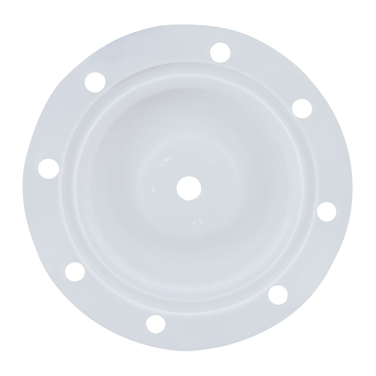 PTFE DIAPHRAGM 3" BSK