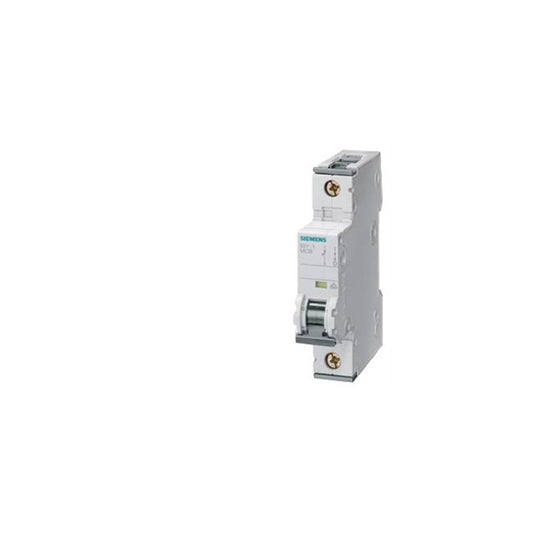 Siemens 5SY4102-8