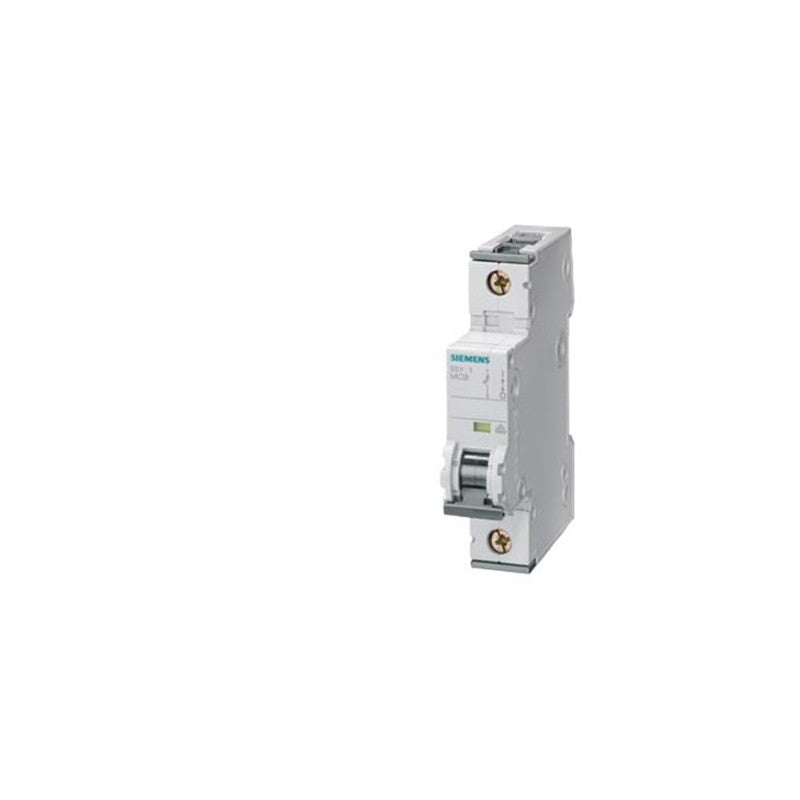 Siemens 5SY6102-6