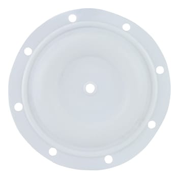 Ptfe Diaphragm 1" BSK