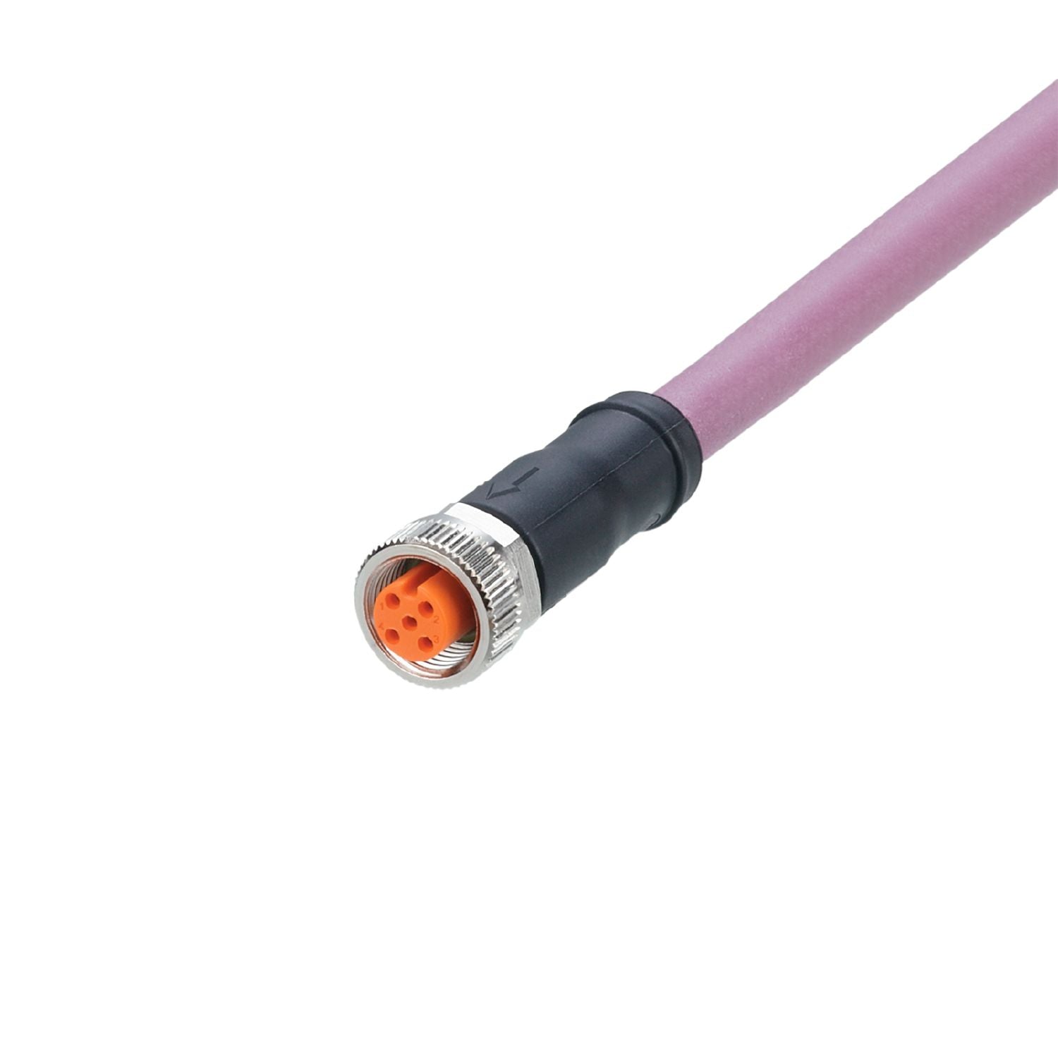 ifm - EVC958