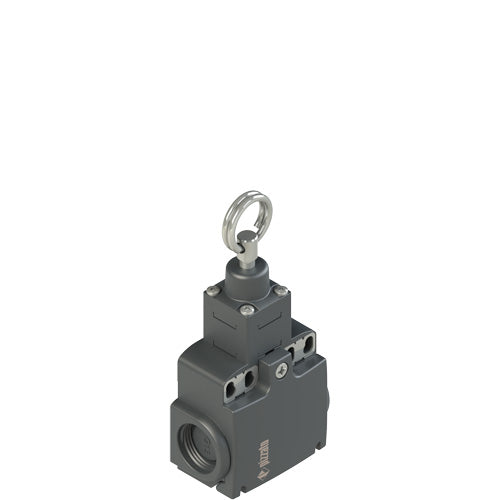 Pizzato FX 1173-M2 Limit Switch