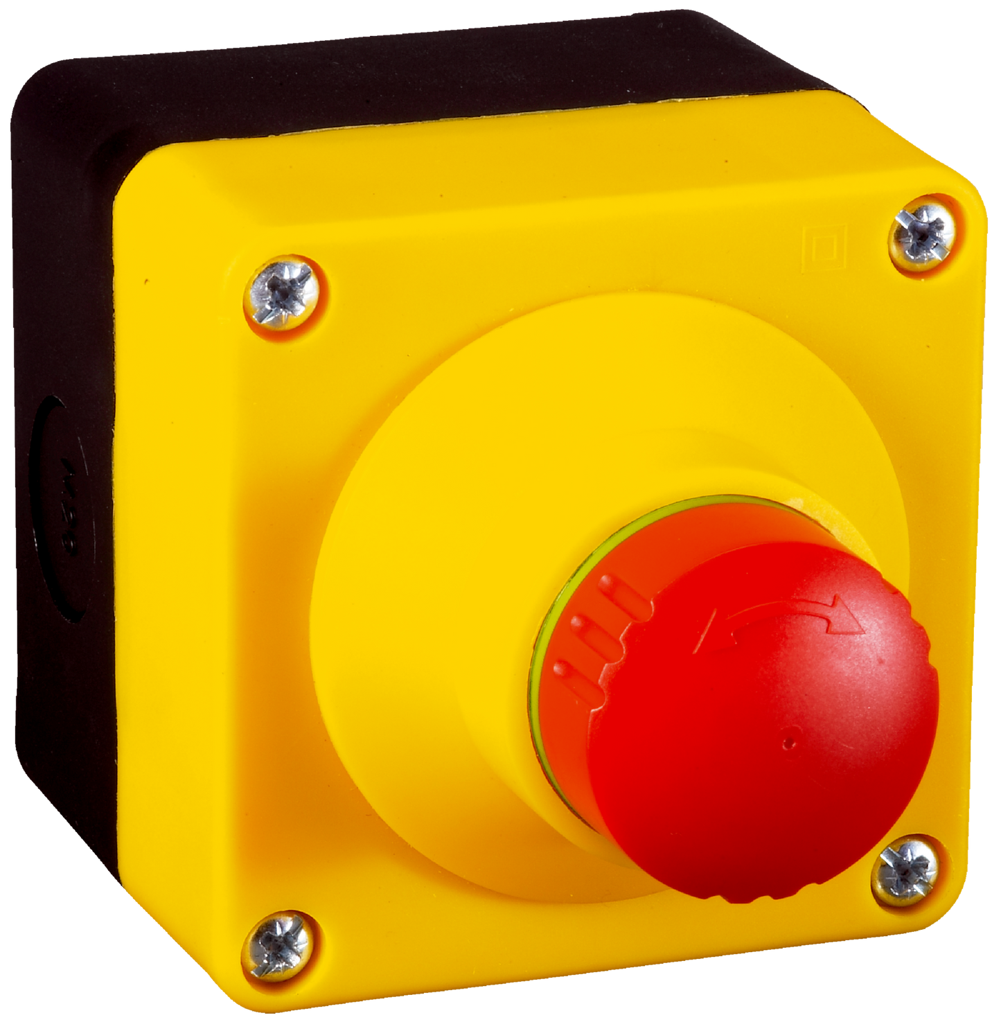 6036148 Safety Interlock Switch