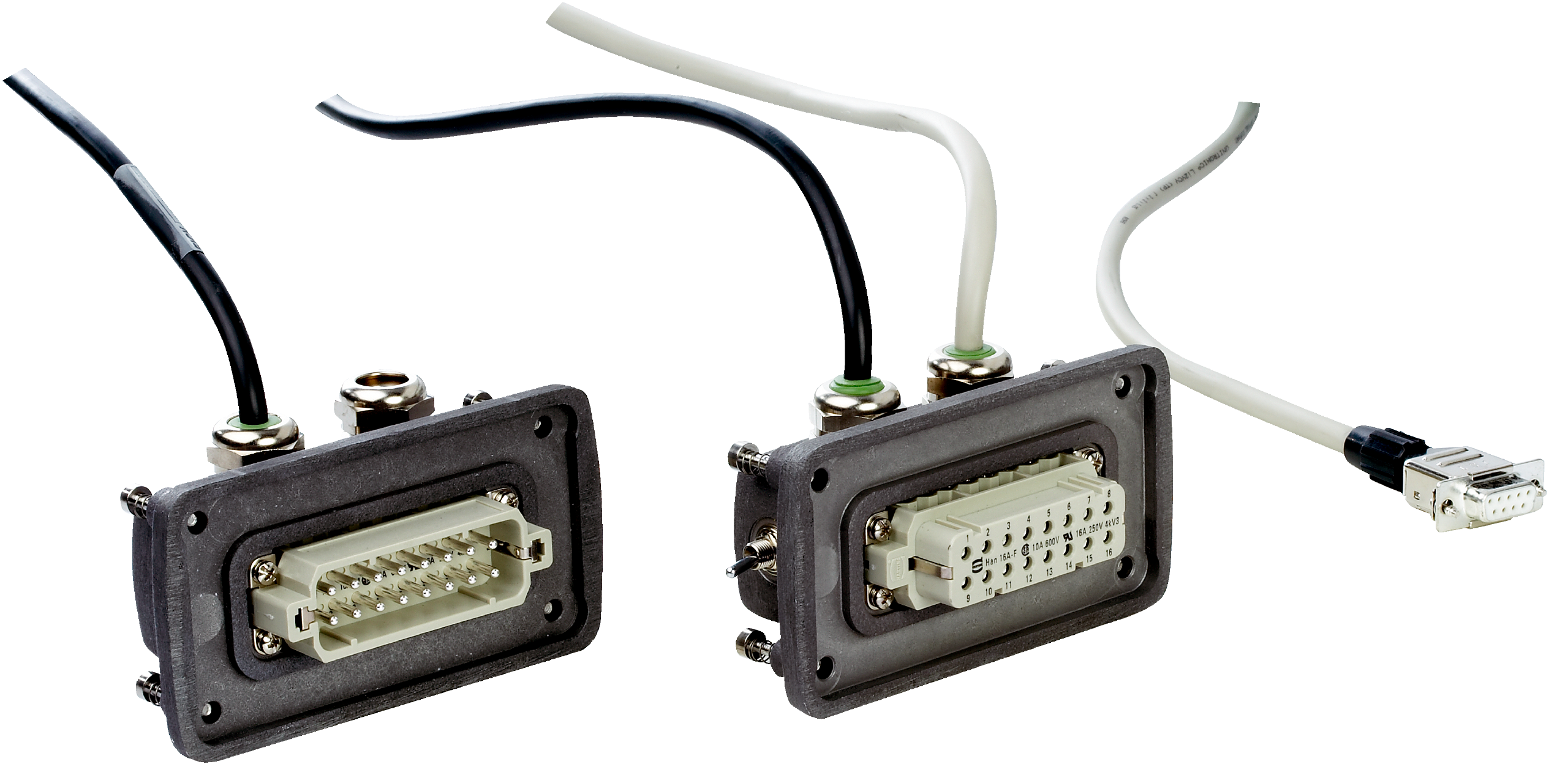 2019561 SICK Sensor & Actuator Cable | 5 m – Creative Automation