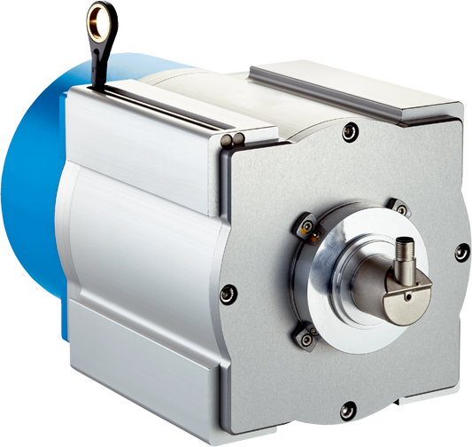 1127317 BTF19 Motion Sensor