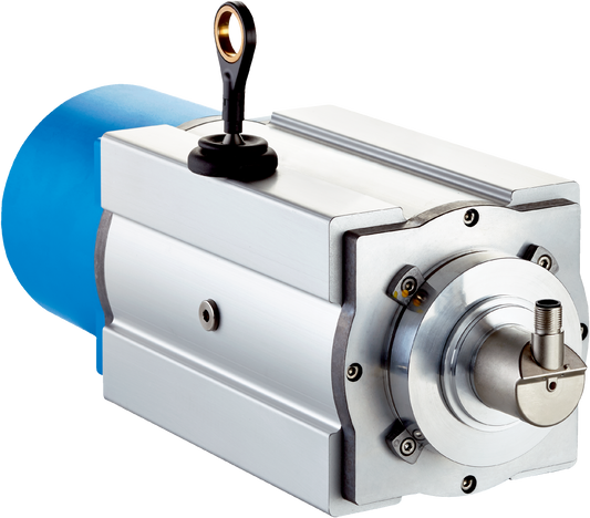 1068894 BTF13 Motion Sensor