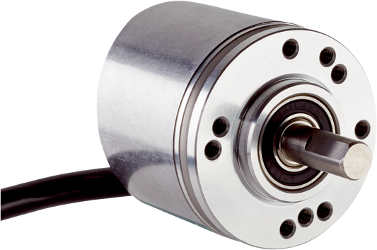 1129066 DBS36 Motion Sensor