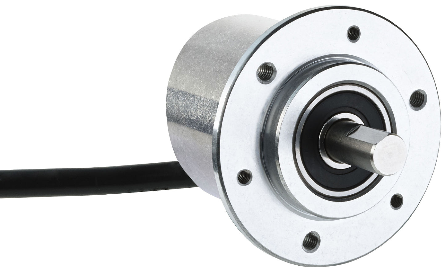 1080975 DBS36/50 Motion Sensor