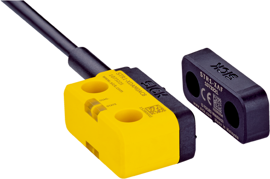 1069565 Safety Interlock Switch
