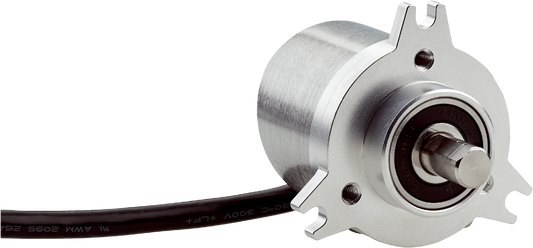 1132117 DBS36/50 Motion Sensor