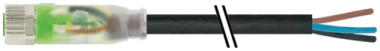 Murrelektronik - 7000-08111-6300500