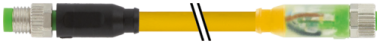 Murrelektronik - 7000-88002-0300030