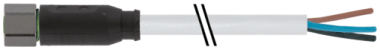 Murrelektronik - 7004-08041-2300500