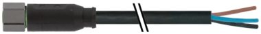 Murrelektronik - 7004-08041-6300500