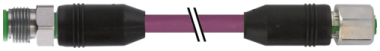 Murrelektronik - 7004-40531-8030100