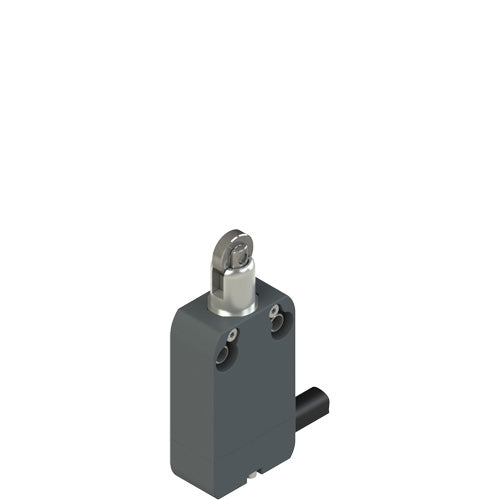 Pizzato NF G020BB-DN2 Limit Switch