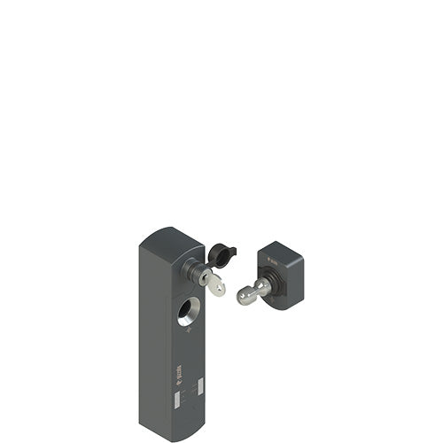 NS D4ST1DMK-F41 Safety Interlock Switch