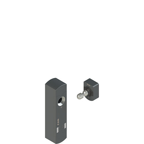Pizzato - NS E4ZZ1DPK-F40