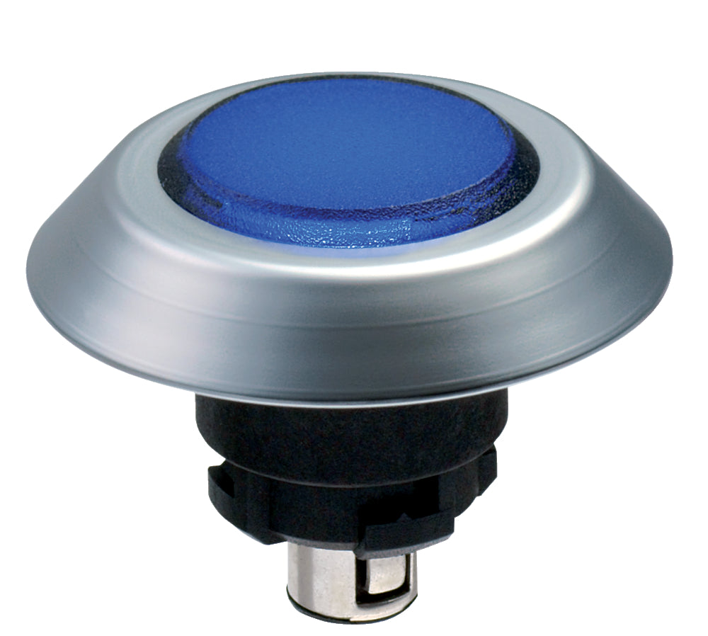Schmersal NMEFBL Push Button Head