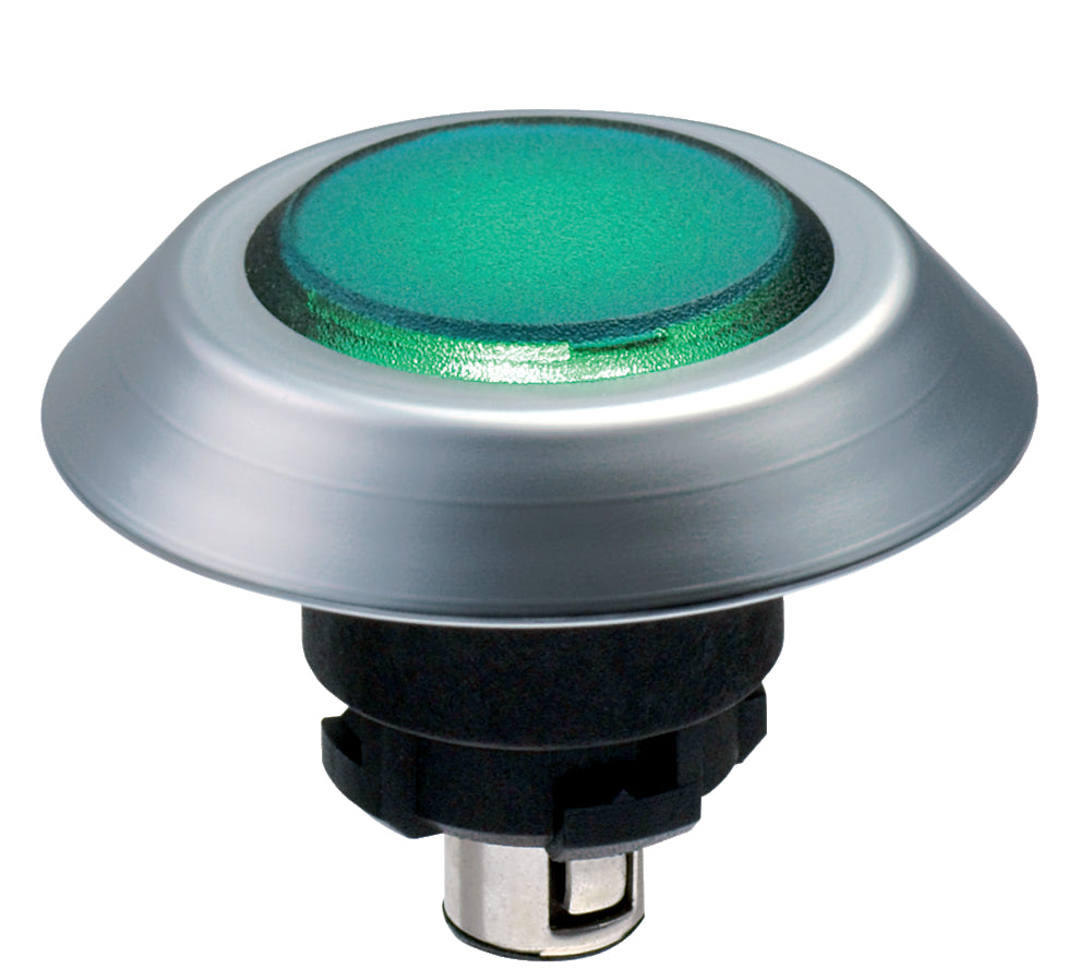Schmersal NMEFGN Push Button Head