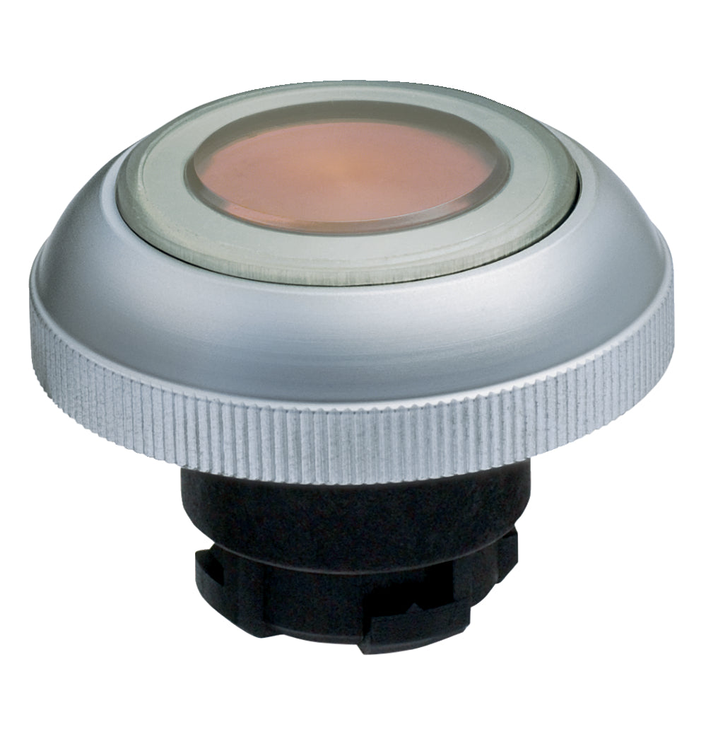 Schmersal RDLMRT Push Button Switch