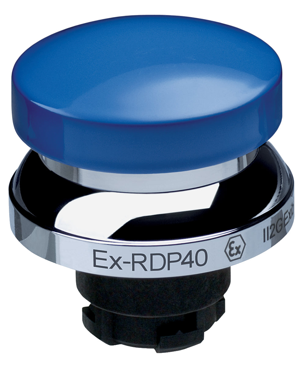 Schmersal - EX-RDP40BL