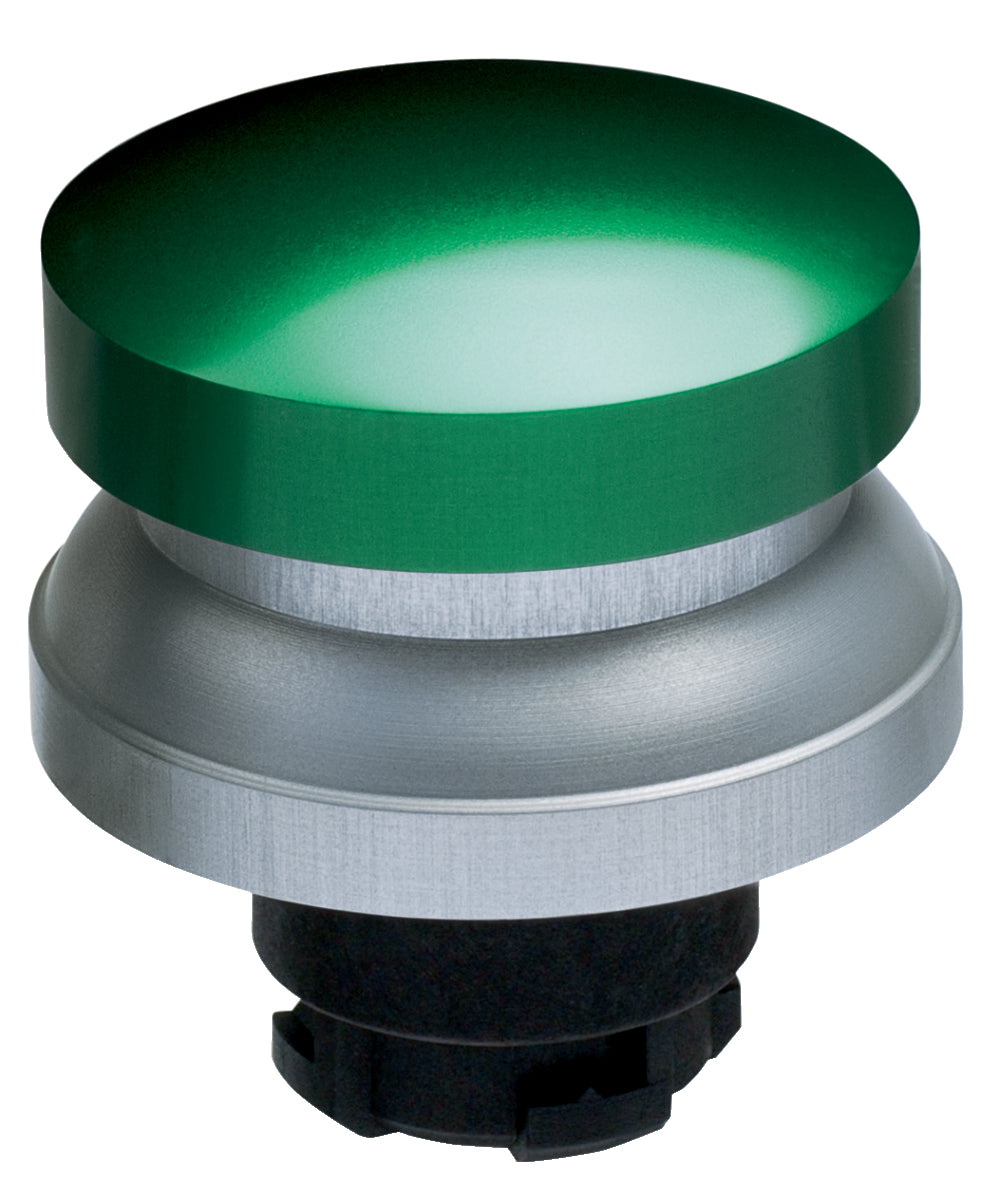Schmersal RDP40GN Push Button Switch