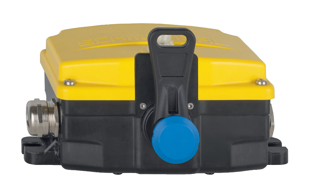 Schmersal - RS655-Z22-G115