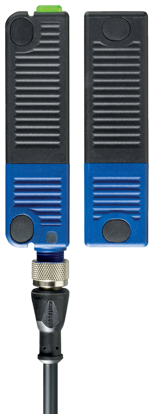 RSS 36-ST-AS Safety Interlock Switch