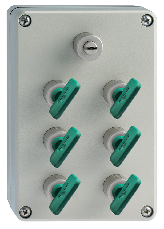SVM1/SR/102-6/113GB/BL/A Safety Interlock Switch