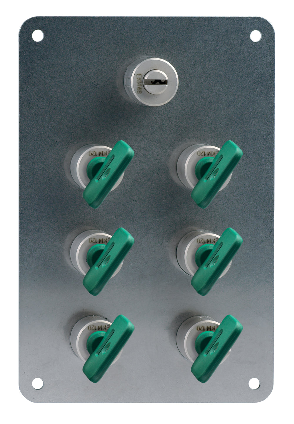 SVM1/SR/101-6/200RT/WS/E Safety Interlock Switch