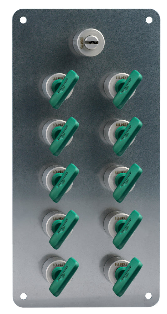 SVM1/SR/55-10/205RT/GN/E Safety Interlock Switch