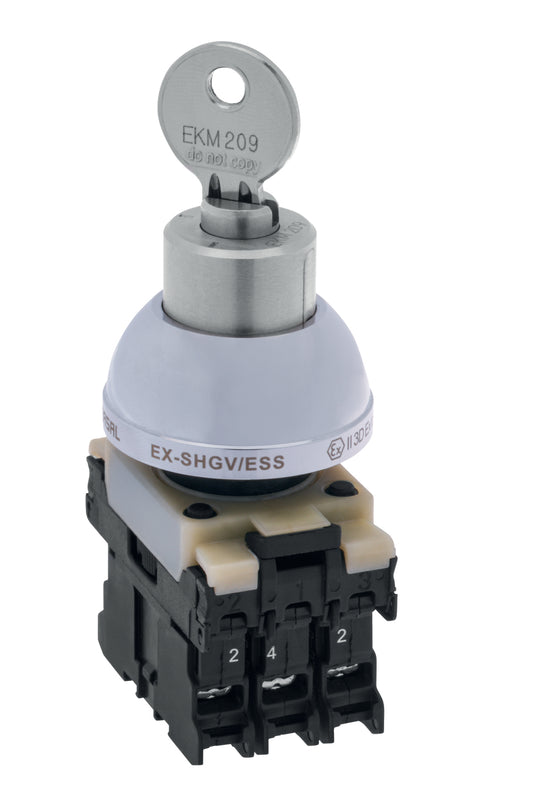 Schmersal EX-SHGV/ESS21S2/206/11033-3G/D Enabling Switch