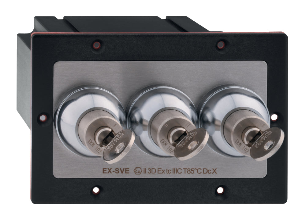 Schmersal - EX-SVE3/101/101/101-24VDC