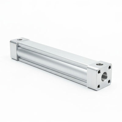 Rodless Cylinder