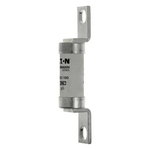 Eaton CEO100