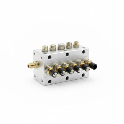 Valve Manifold Assembly